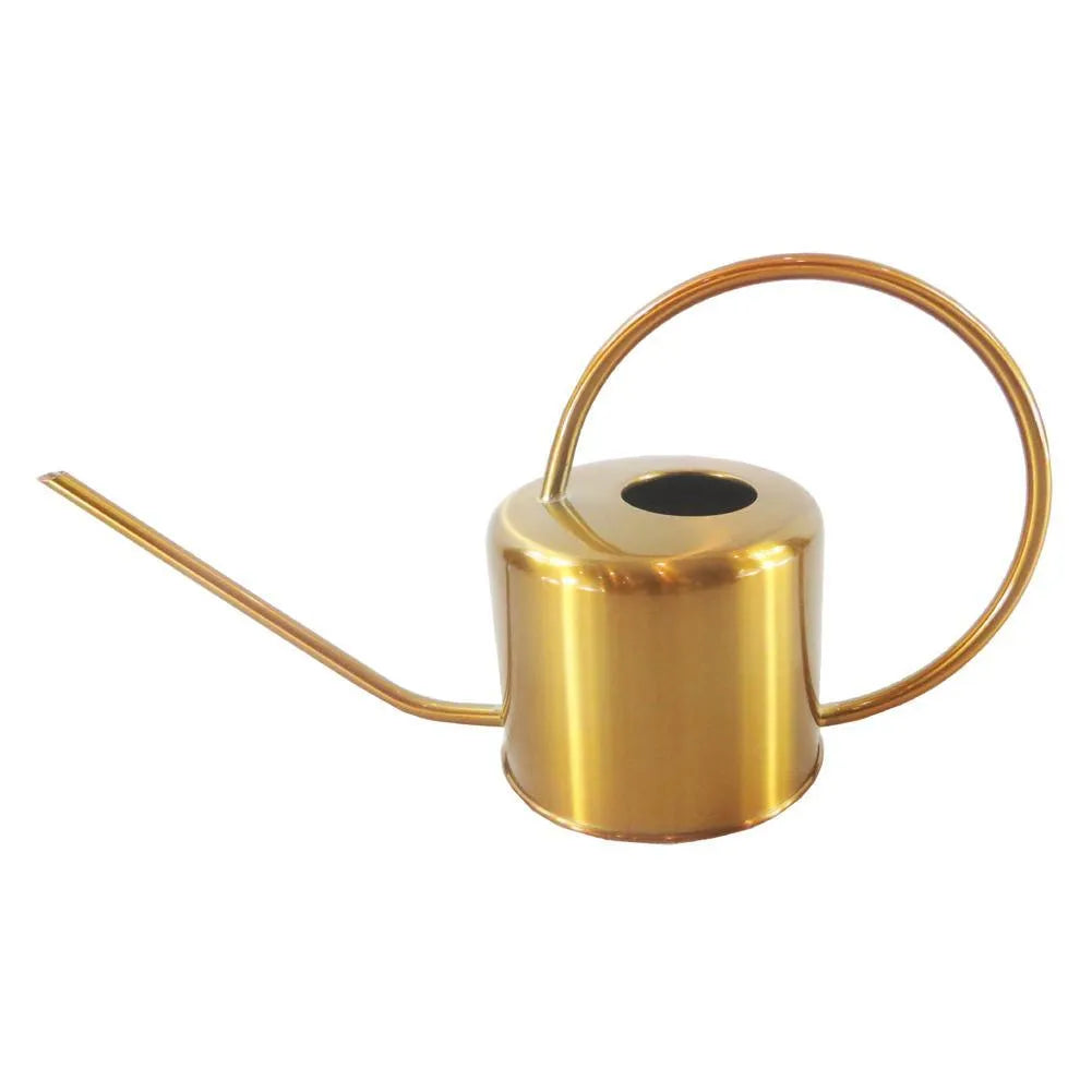 Stainless steel 2 litre watering pot with long spout for garden watering