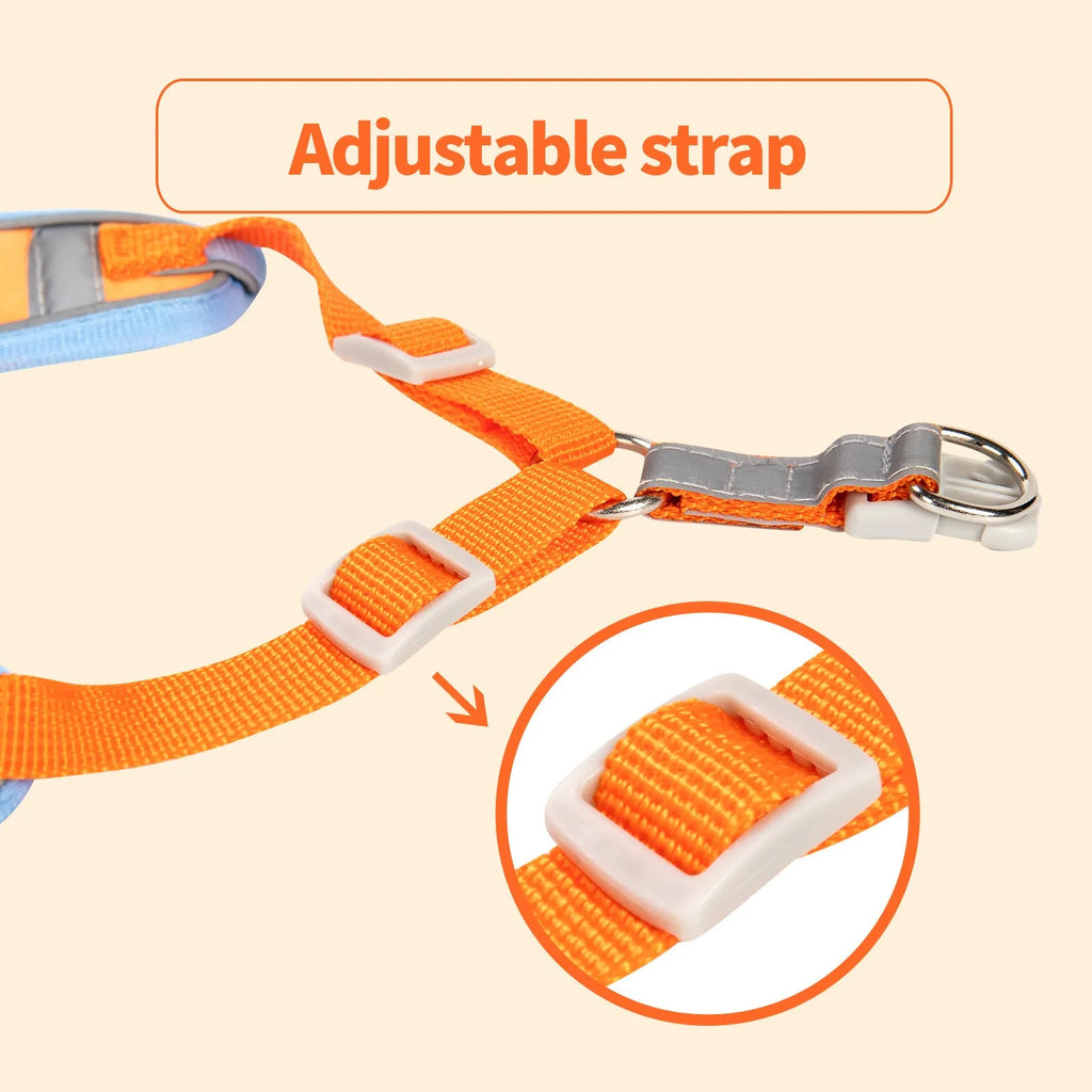 Purple adjustable dog haulage rope harness with chest strap shown on a medium-sized dog.