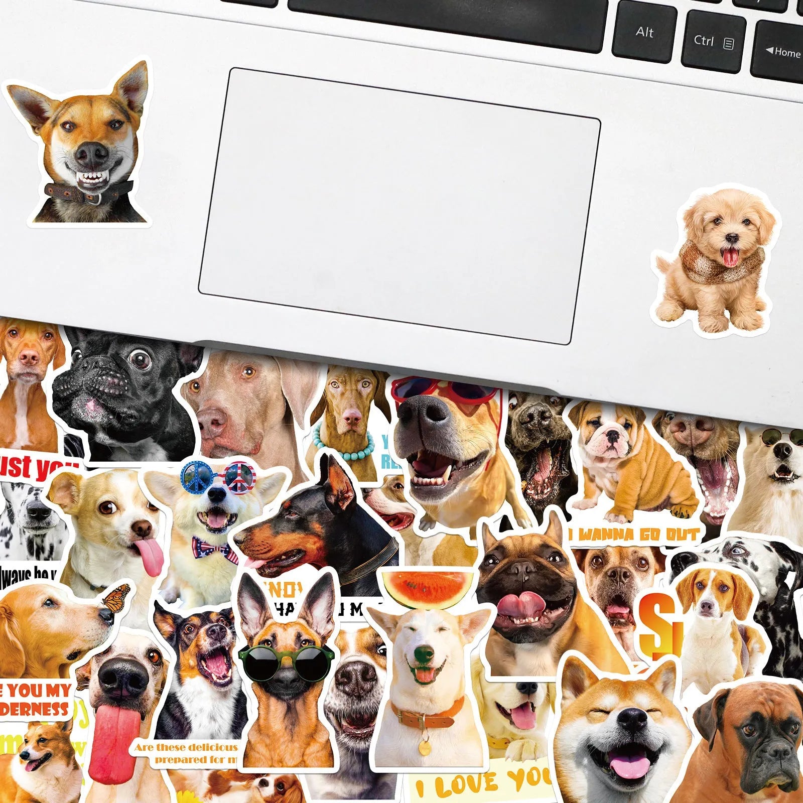 Realistic dog facial expression stickers in Nordic style designs, 100 sheet pack