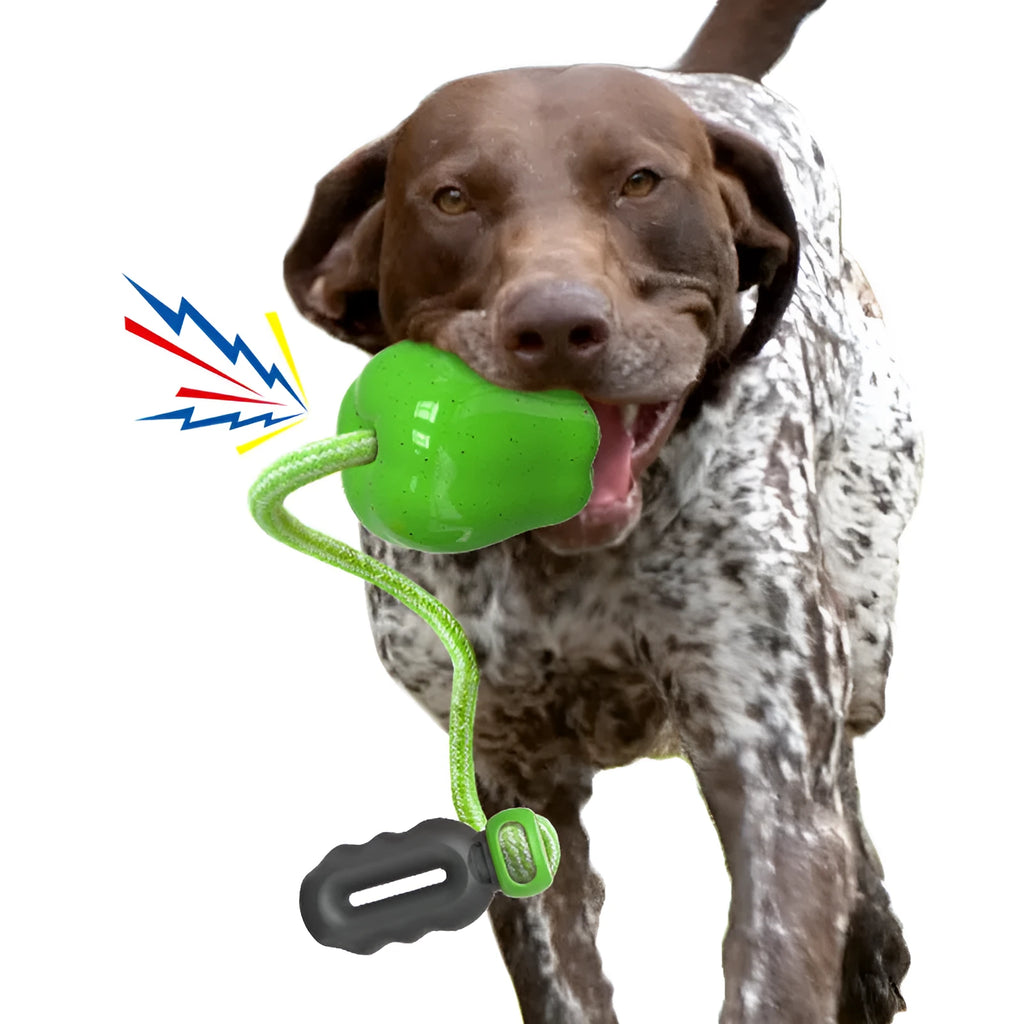 Green plastic dog dropping ball toy with squeaker for outdoor fetch and chewing