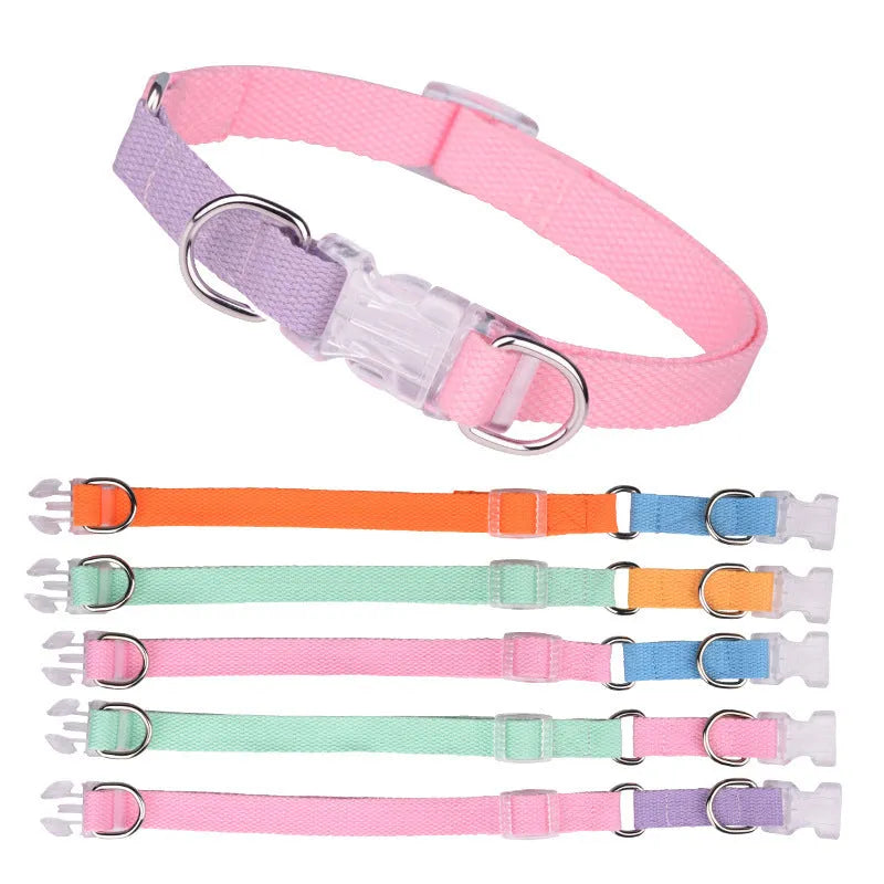 Polyester ribbon dog collar set with hand holding rope and chest strap in multiple colour options