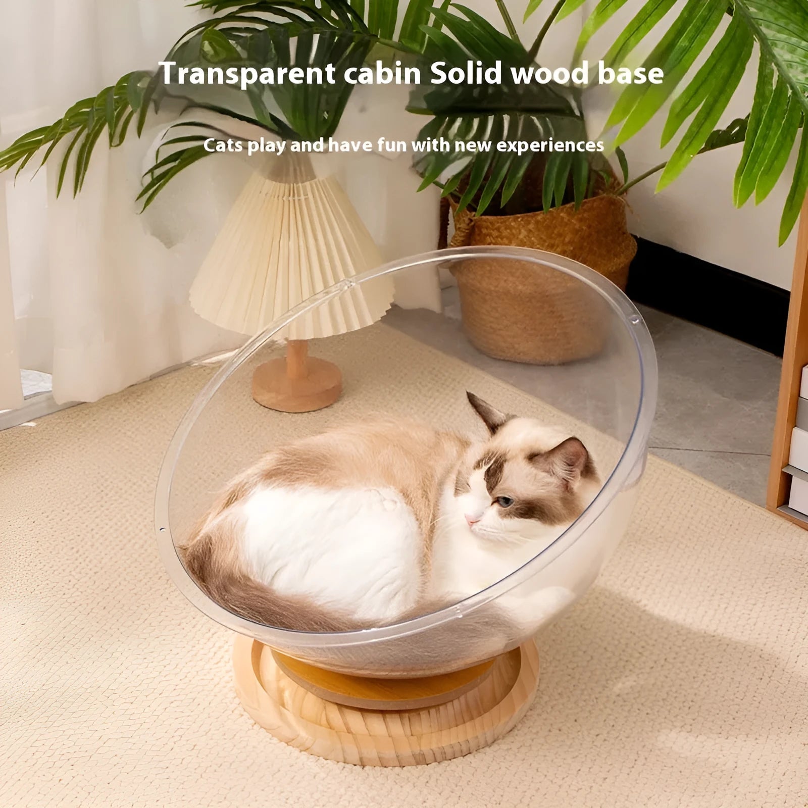 Transparent acrylic cat space capsule bed with enclosed design.