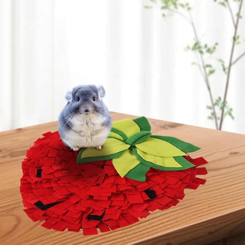 Red and green strawberry-shaped snuffle mat for dogs and cats on a floor.