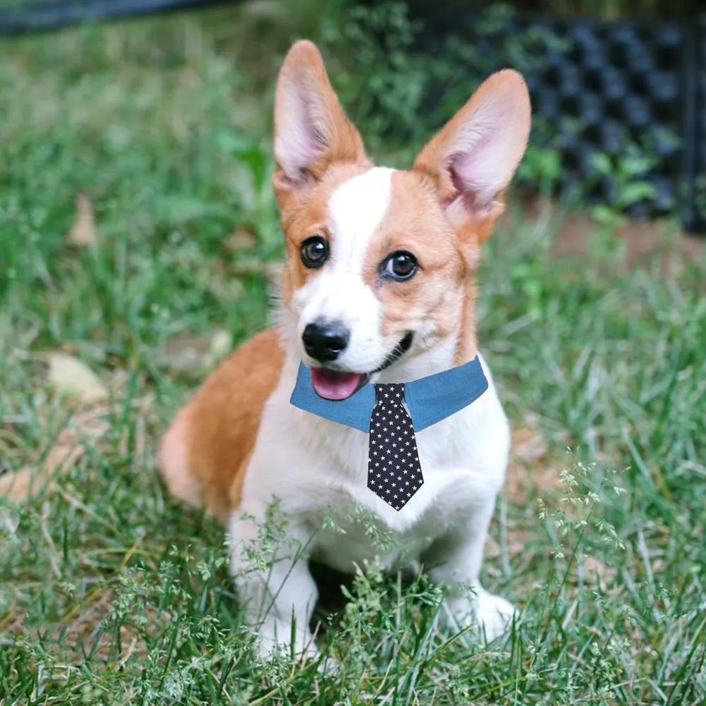 Blue denim dog collar styled as a necktie with white star pattern, showing fastener tape adjustment.