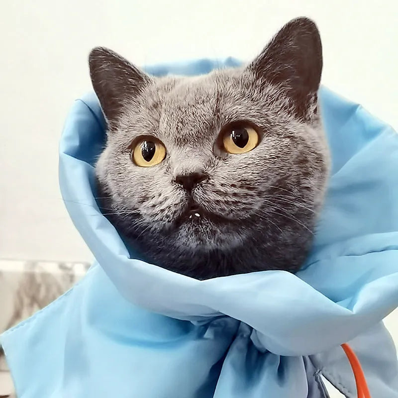 Adjustable soft cat cone collar in light blue protecting wound while allowing eating access