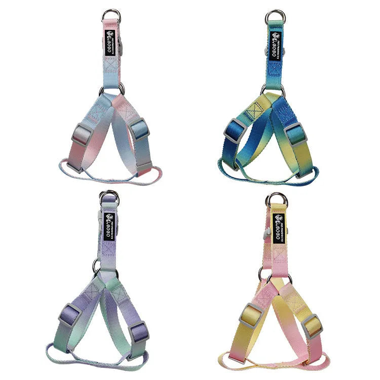 Gradient colour nylon dog leash and harness set shown in pink and blue combination.