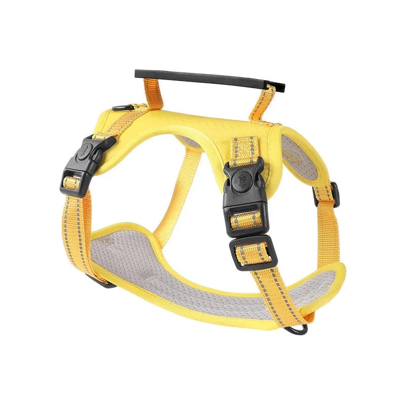 Polyester dog harness chest strap lead set in multiple colours with adjustable fitting