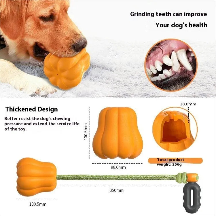 Bite Molar orange plastic pumpkin dog toy with rope attached for outdoor chewing and fetch games