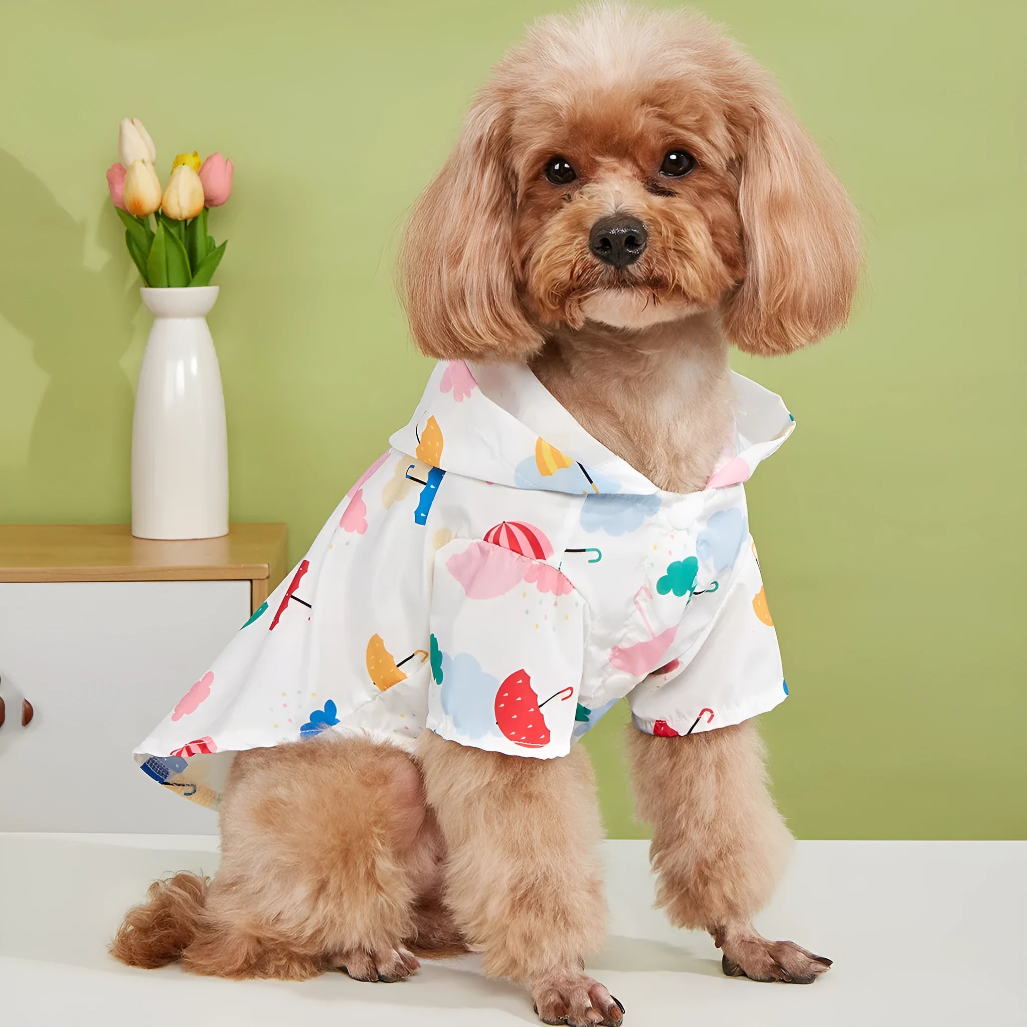 Colourful cartoon umbrella pattern dog and cat raincoat made from polyester fabric.