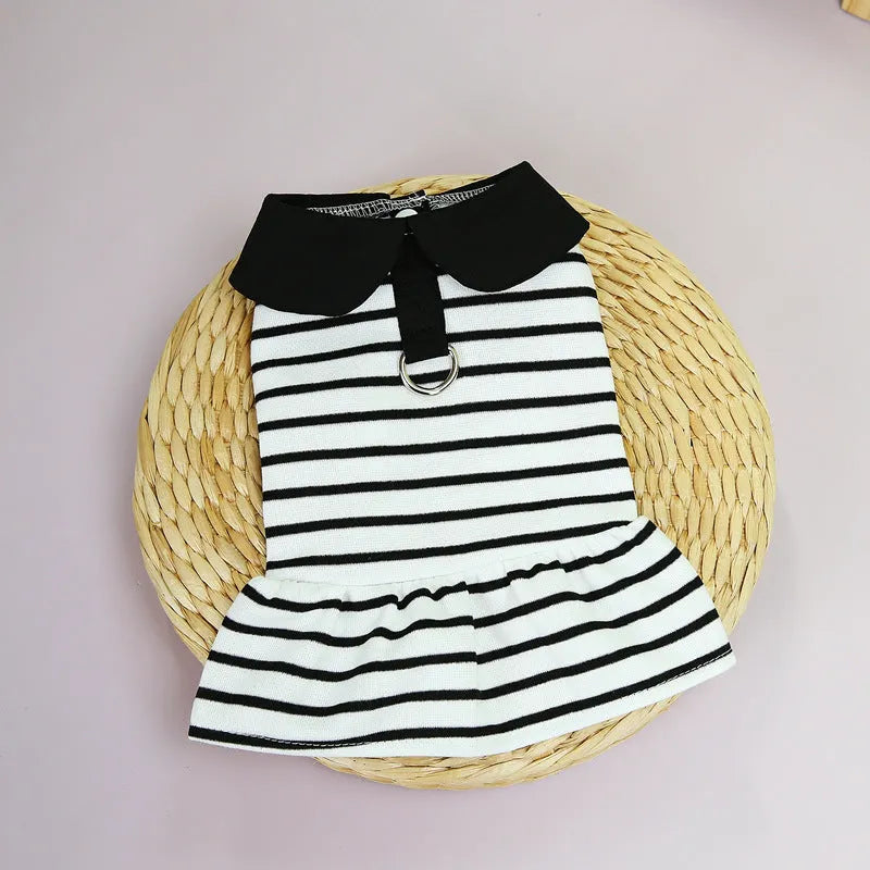Pet dog wearing striped cotton T-shirt with coordinating skirt summer outfit set