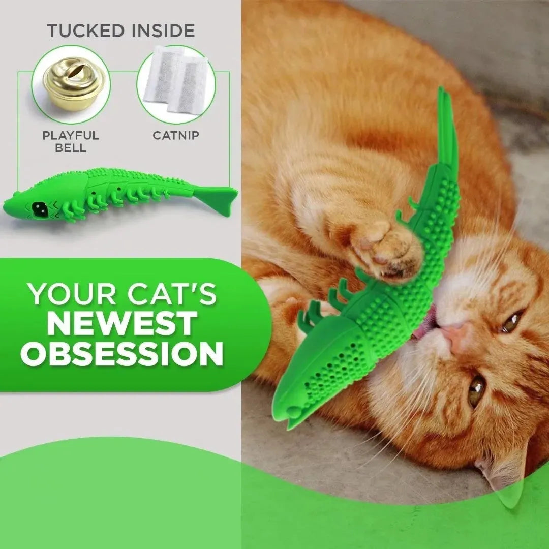 Blue hard rubber catnip toy with textured dental cleaning surface and bell inside