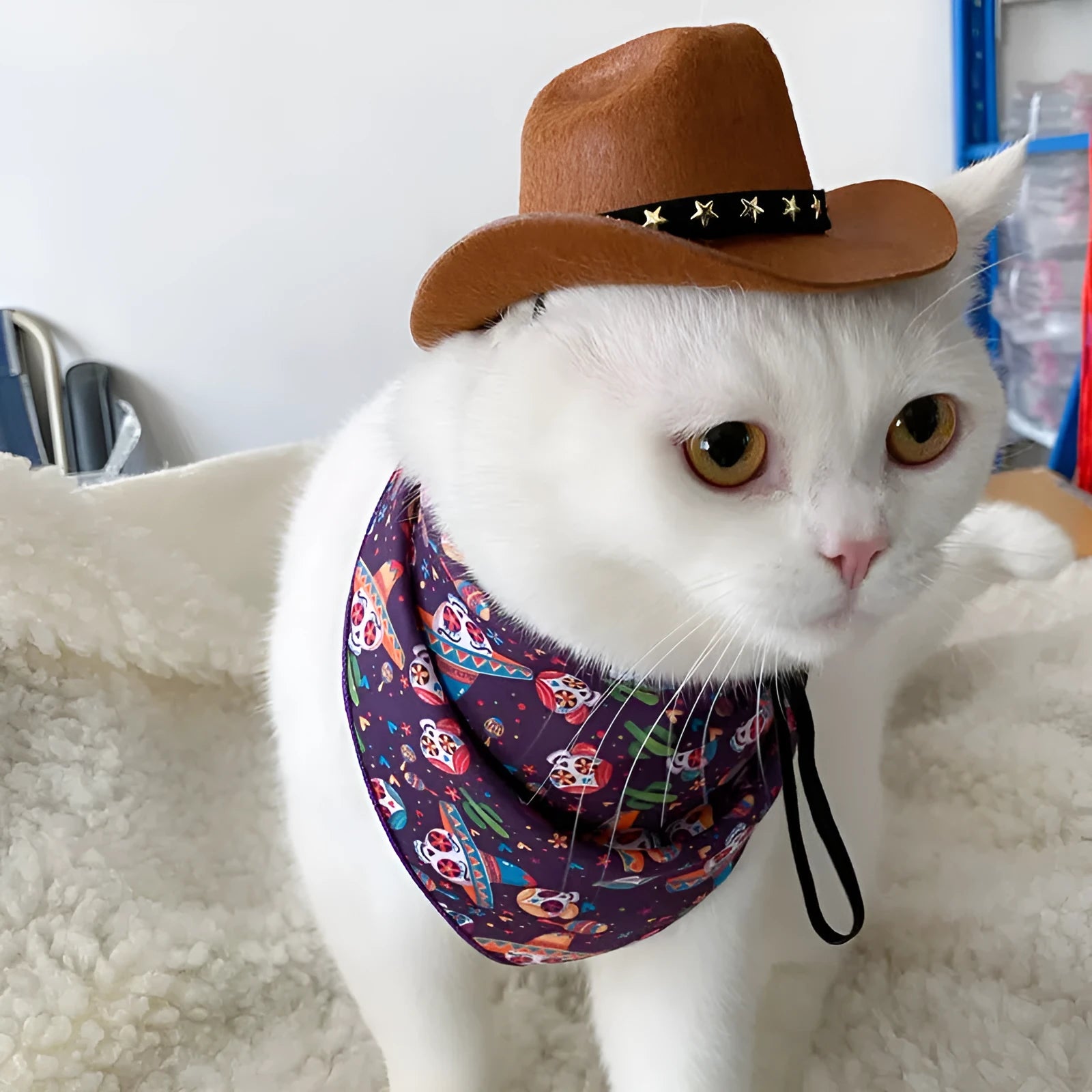British cowboy hat for dogs and cats with decorative trim options