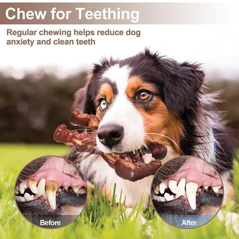 Scarlet coloured nylon dog chew toy with beef flavour and textured molar design