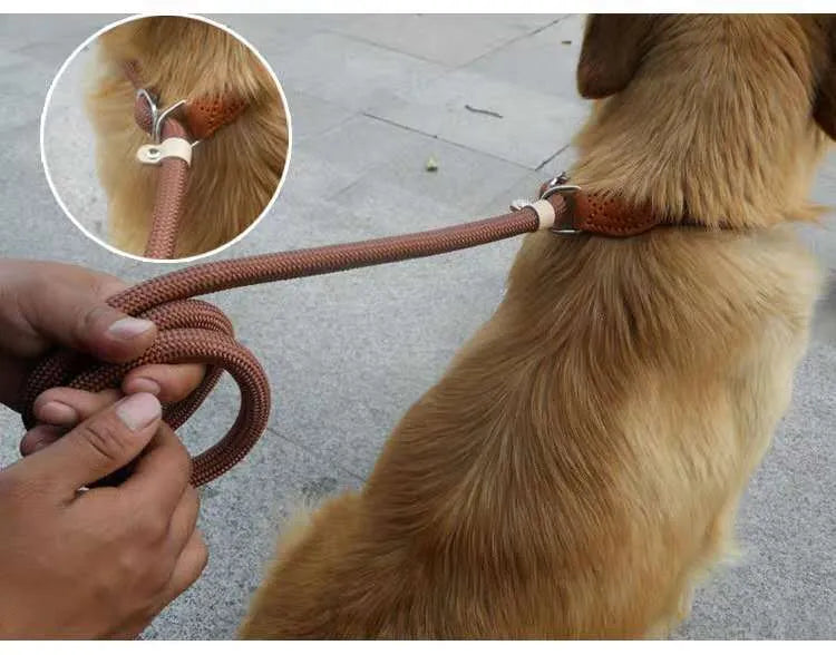 Brown nylon P chain dog leash with hand-holding rope, shown at full 2.1m length.