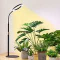 6-inch angel ring floor plant grow light with retractable stand in pearl white aluminium alloy