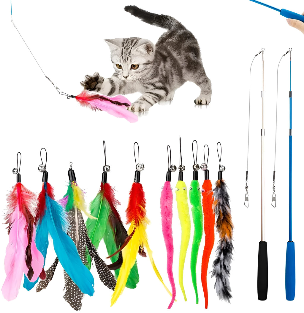 Cat teaser fishing rod set with two poles and ten feather replacement heads