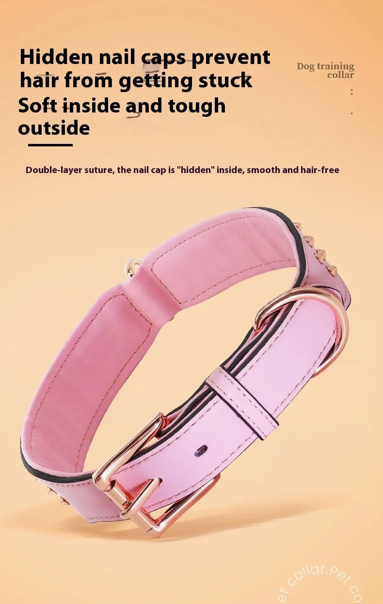 Leather dog collar with a line of metal anti-bite rivets, shown in chocolate brown colour.