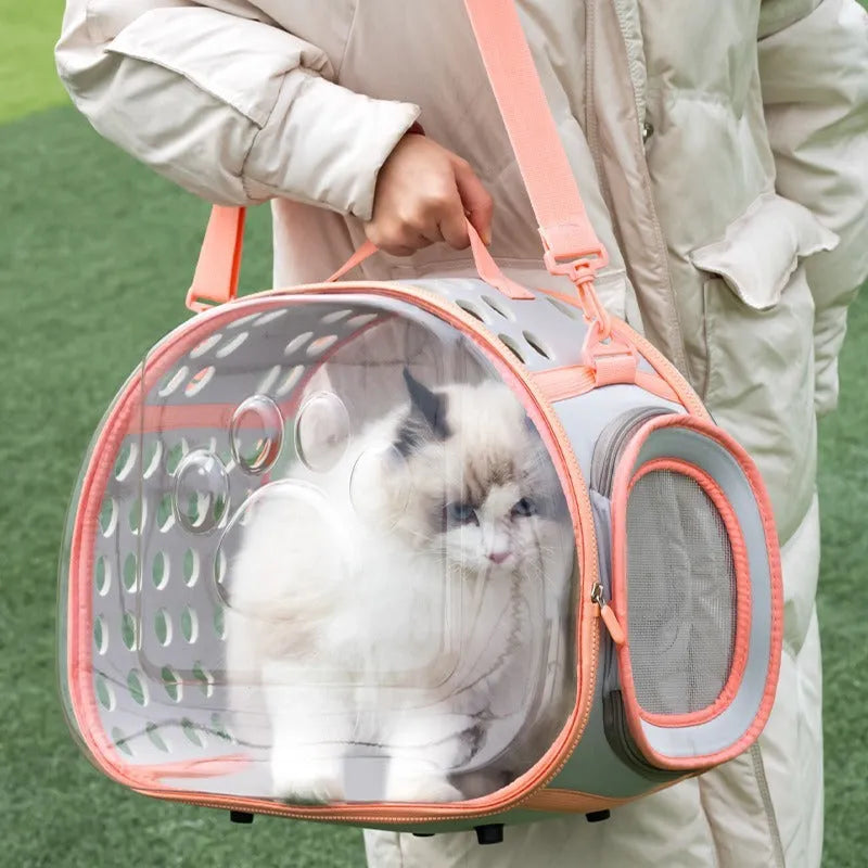 Transparent space capsule backpack for cats with EVA hard shell in large size 42cm