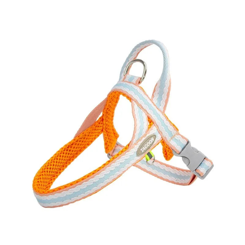 Lightweight polyester dog harness and hand-holding traction rope in sea salt yellow colour on a small dog.