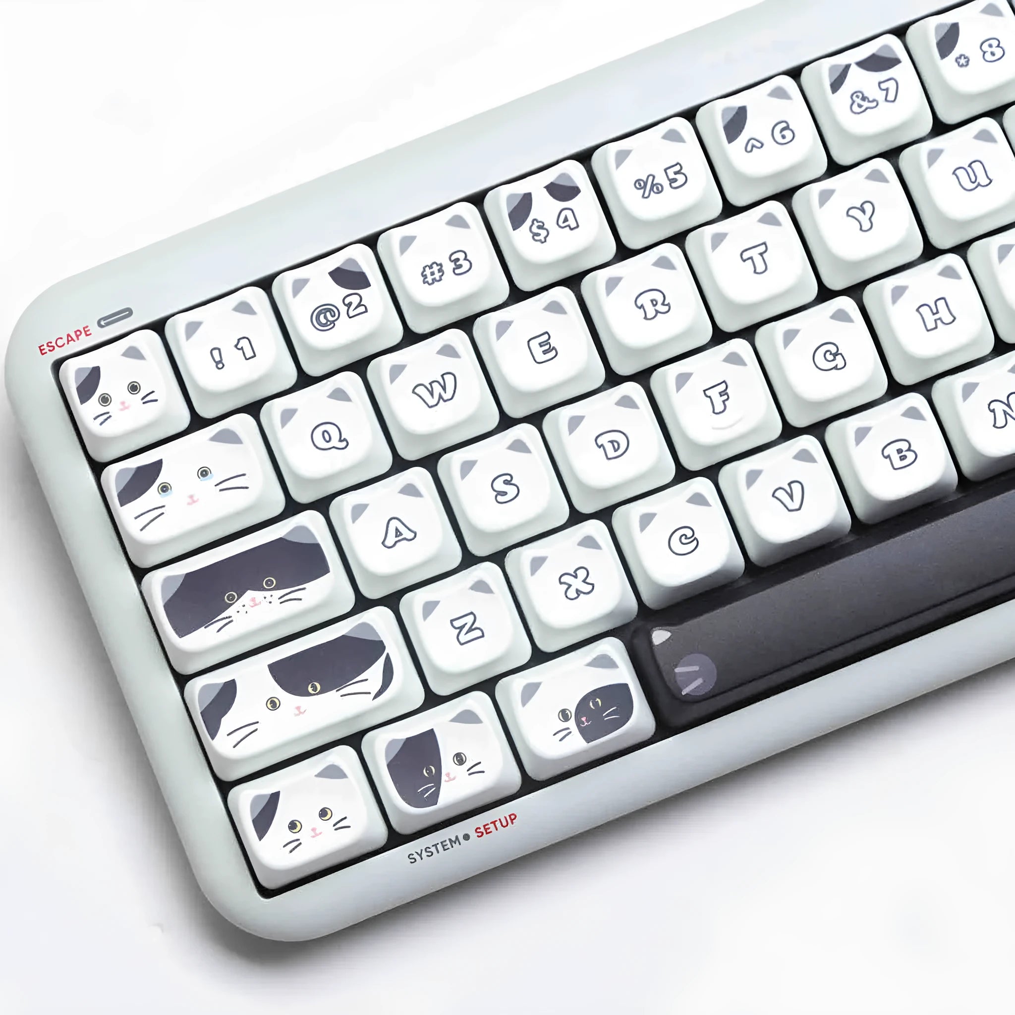 Full set of black and white kitten sublimation keycaps on a mechanical keyboard, PBT material, MAO profile