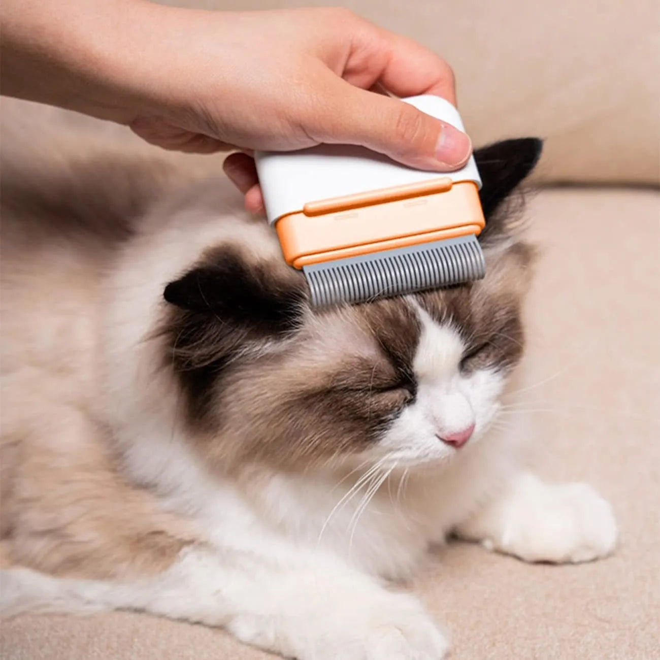 Double-sided pet grooming comb showing stainless steel teeth and massage sides