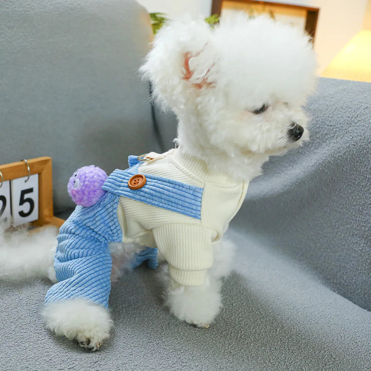 Elf overalls pet clothing in polyester for dogs and cats size XS to XL