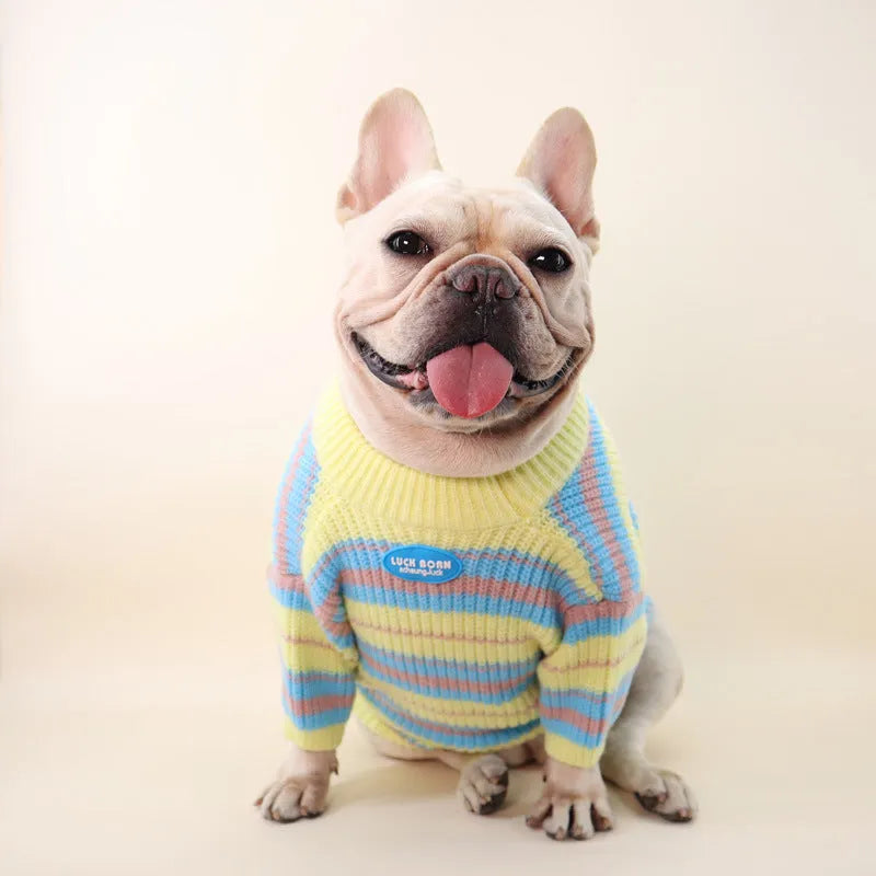Blue and yellow striped wool dog sweater for small breeds in six sizes