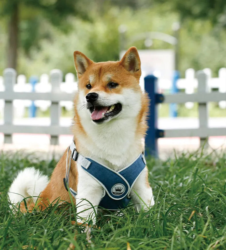 Adjustable mesh dog harness with reflective chest strap in multiple colour options