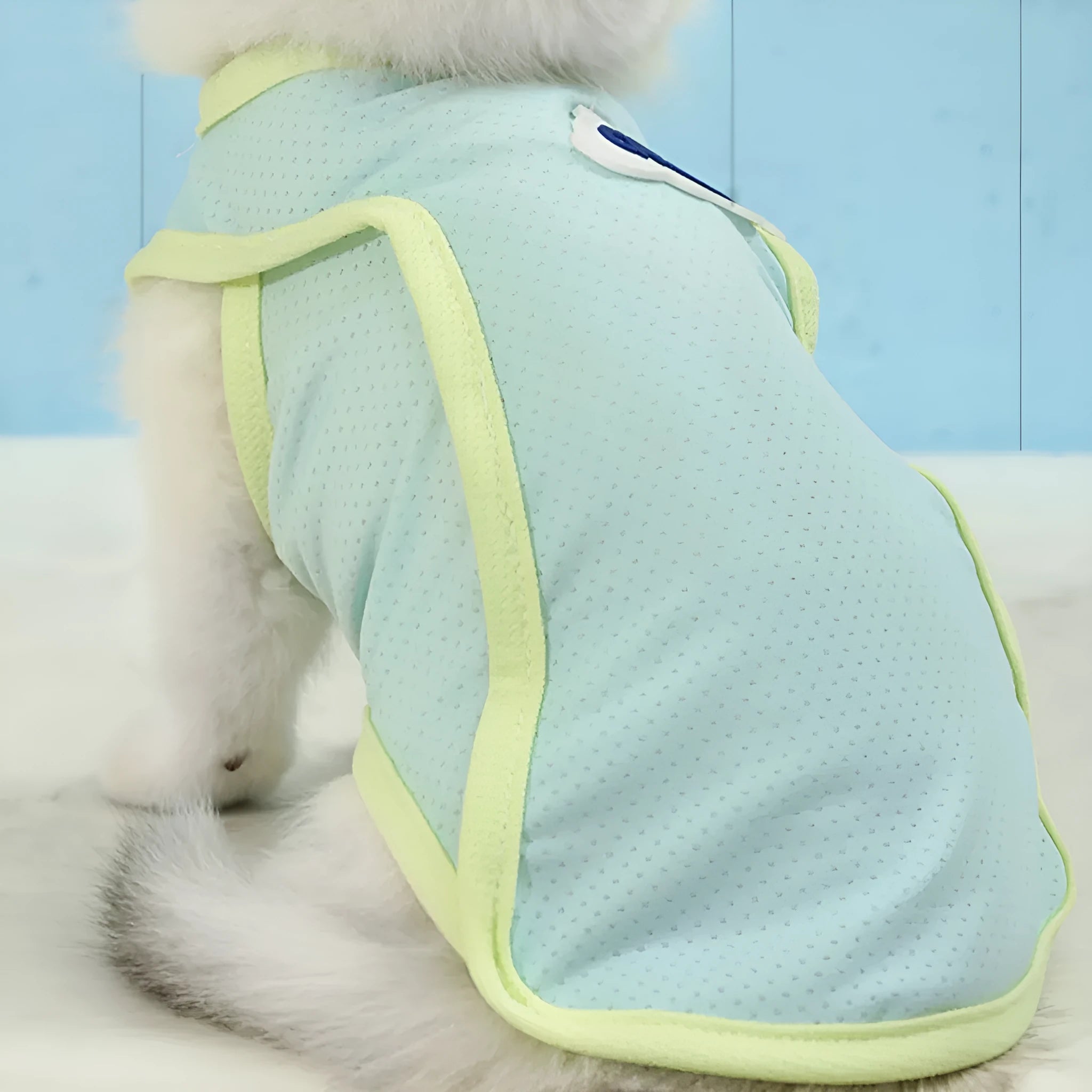 Grass green polyester cat summer vest with sports styling for indoor or warm-weather use