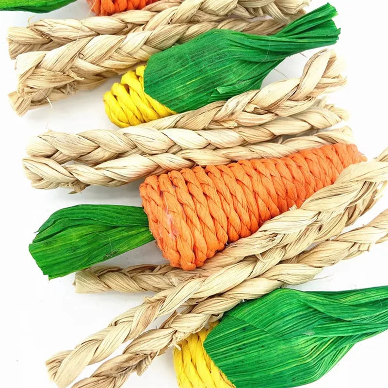 Parrot hanging chew toy with hook attachment for bird cage, featuring perch and climbing design