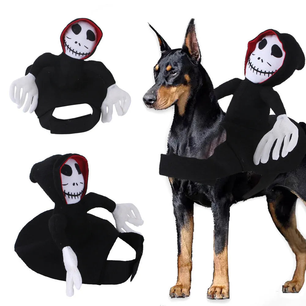 Pet dog wearing cartoon cowboy costume with hat, standing on grass