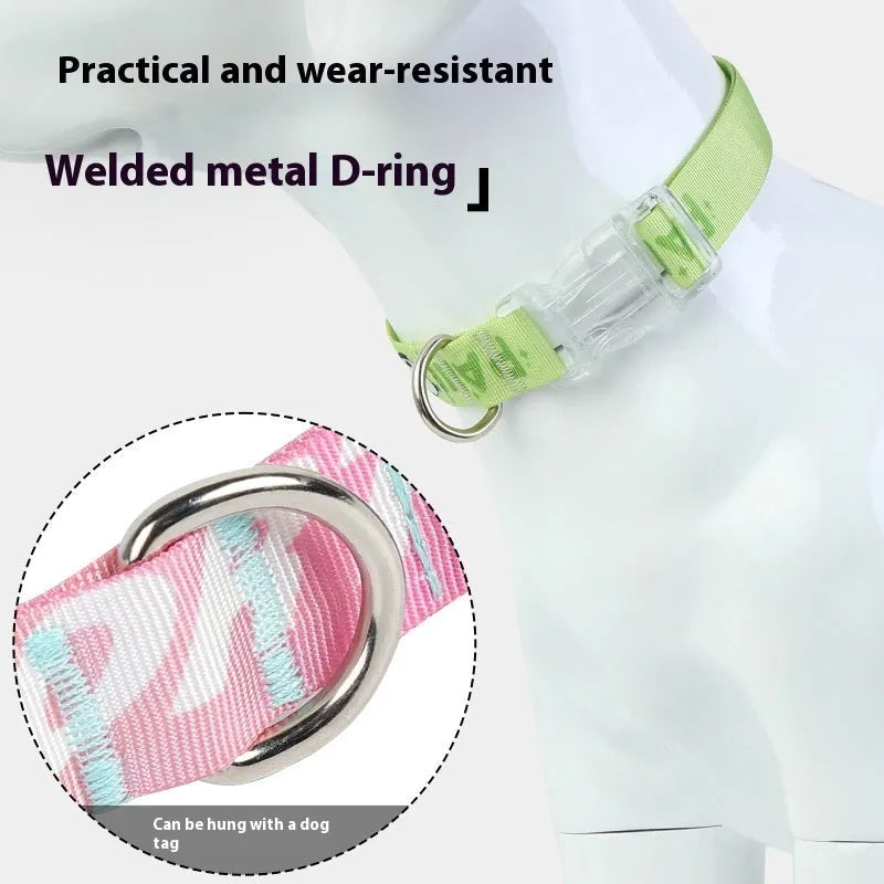 Nylon dog collar with cartoon gradient printing in gradient colour and panda green options