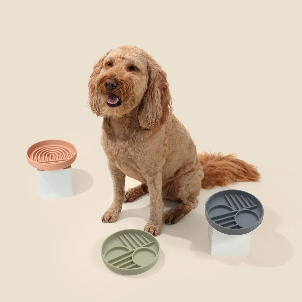Silicone slow feeder dog bowl with textured ridges and nooks for slow eating, shown in assorted colours.