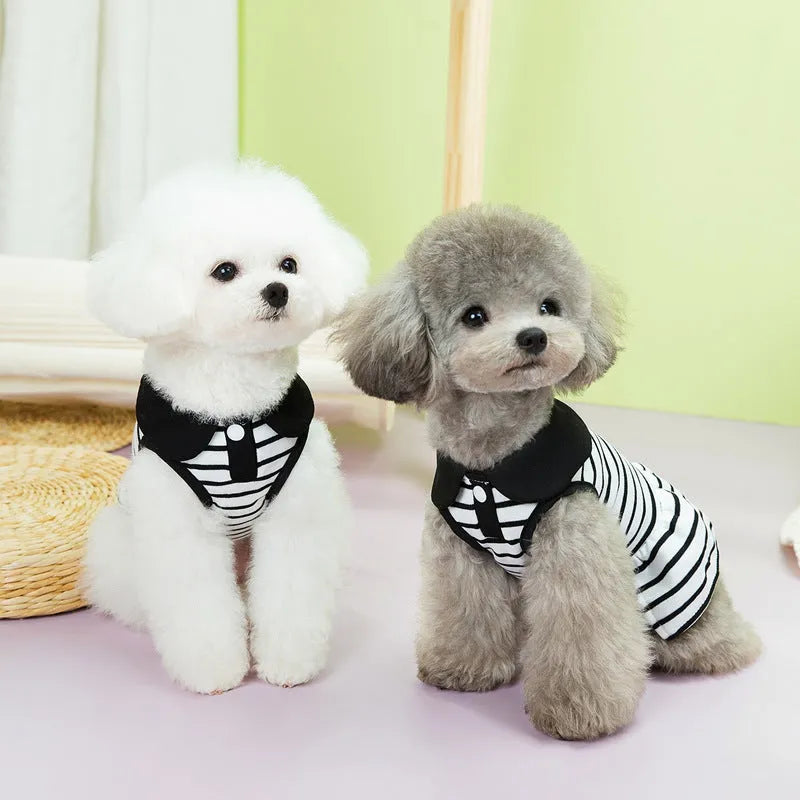 Pet dog wearing striped cotton T-shirt with coordinating skirt summer outfit set