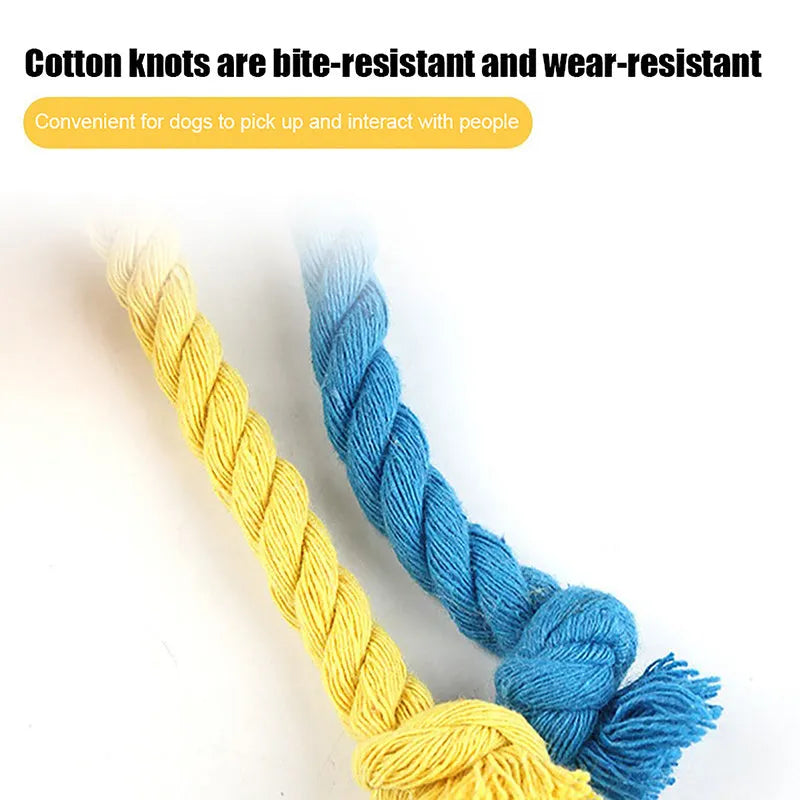 Blue and yellow elastic football dog tug toy with cotton rope construction for interactive play