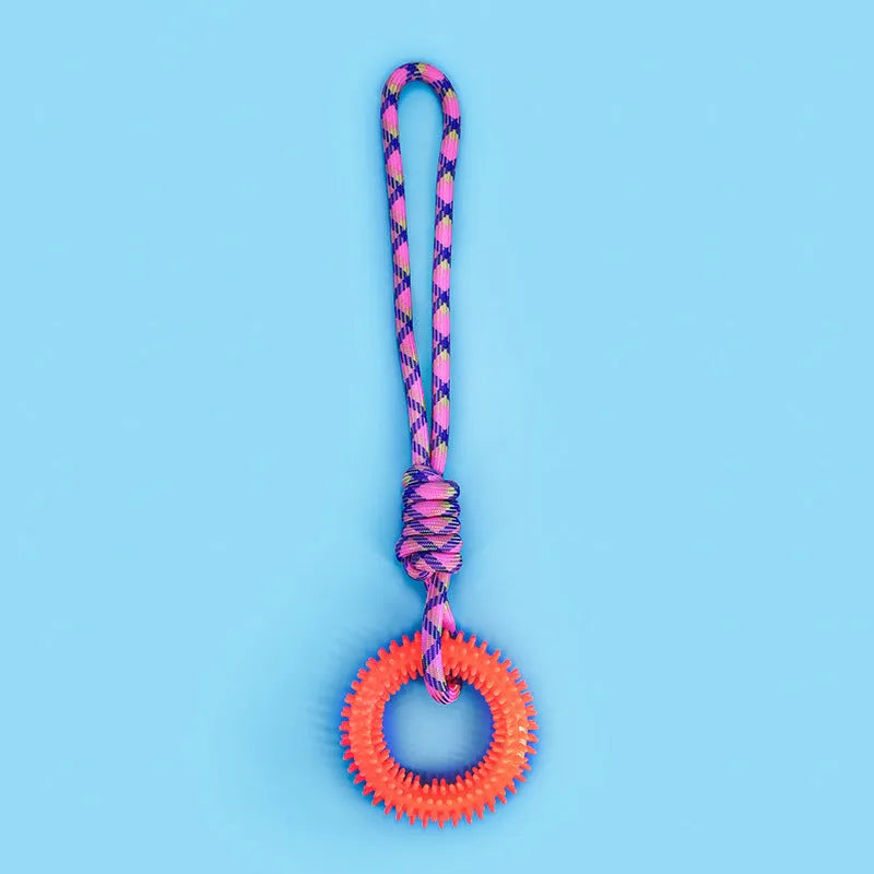 Colourful blue, red, and rose red braided rope dog chew and tug toy, 43 cm long.