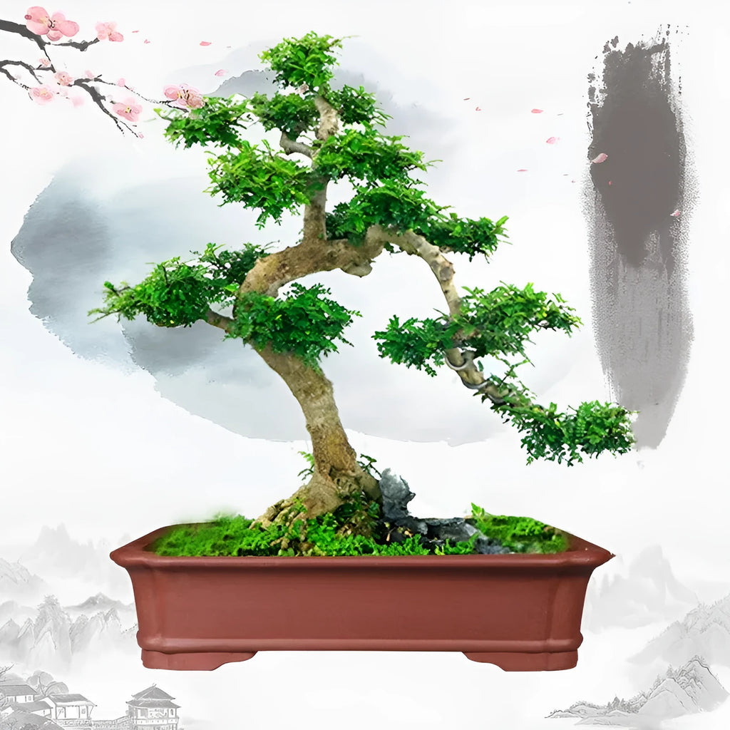 Large rectangular purple clay flowerpot for bonsai or plants, showing its handmade texture and substantial size.