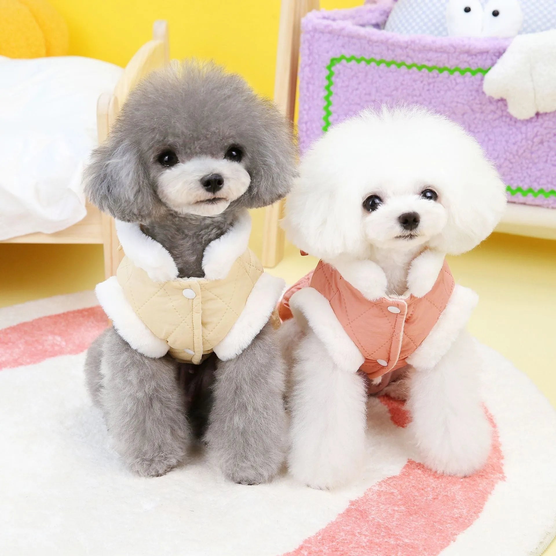 Pet dog clothes small dog butterfly cotton-padded dress in apricot colour