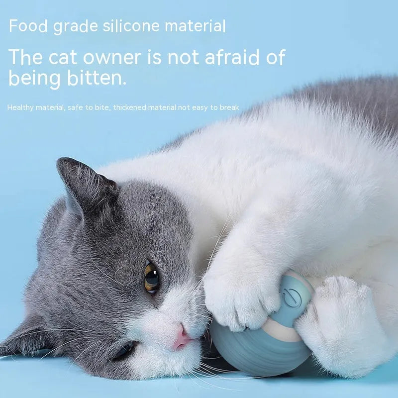 Automatic moving cat toy with rechargeable battery in blue colour on indoor floor