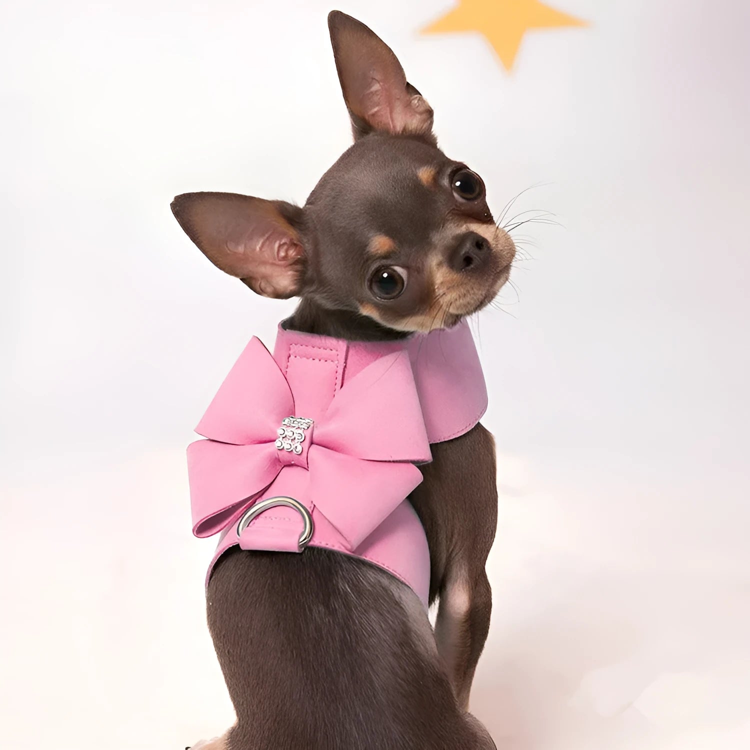 Cute fashion bowknot puppy chest strap harness in microfiber available in pink blue orange colours