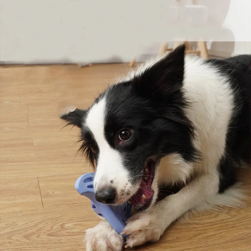 Blue boomerang-shaped molar dog toy for medium and large breed puppies