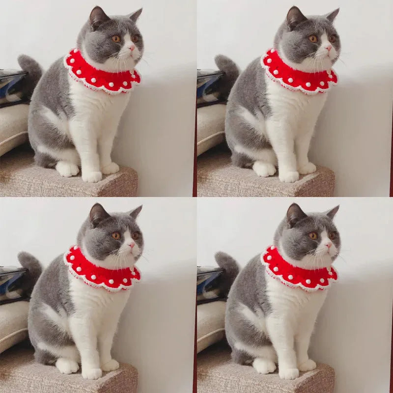 Milk cotton knitted collar with cartoon pattern for a cat, showing customisable colour options.