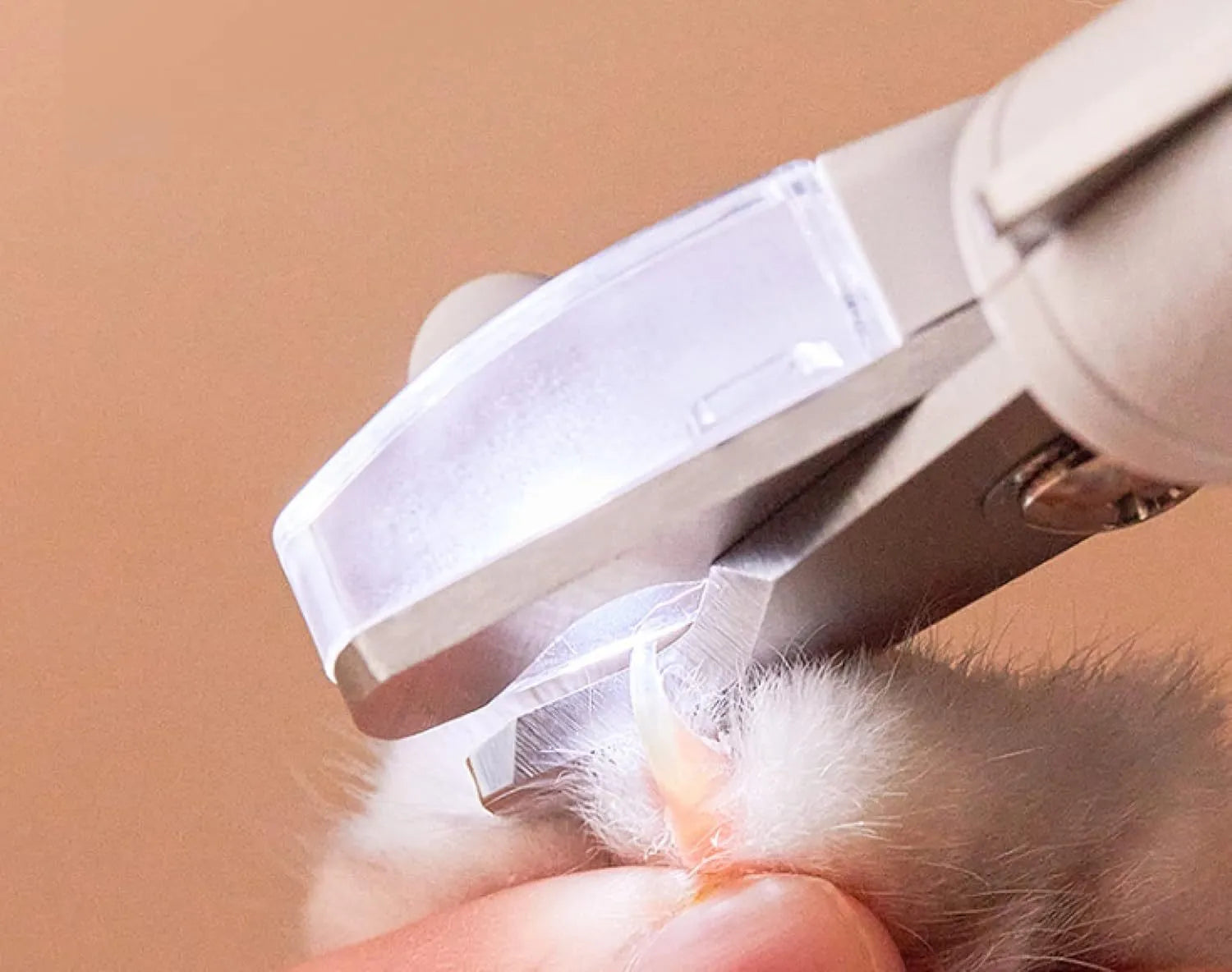 White pet nail clippers with LED light, transparent guard, and nail file for cats and dogs