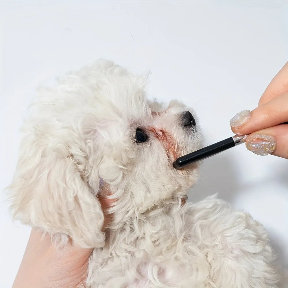 Black pet grooming brush with soft bristles and comb for dogs and cats tear stain removal
