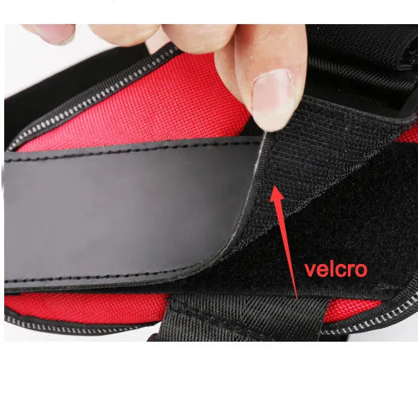 Reflective adjustable no-pull dog harness with chest strap and handle on a dog