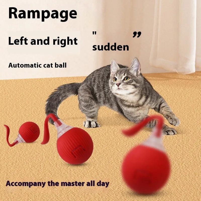 Interactive electronic cat toy ball with coloured lights on grey, green, and red backgrounds.