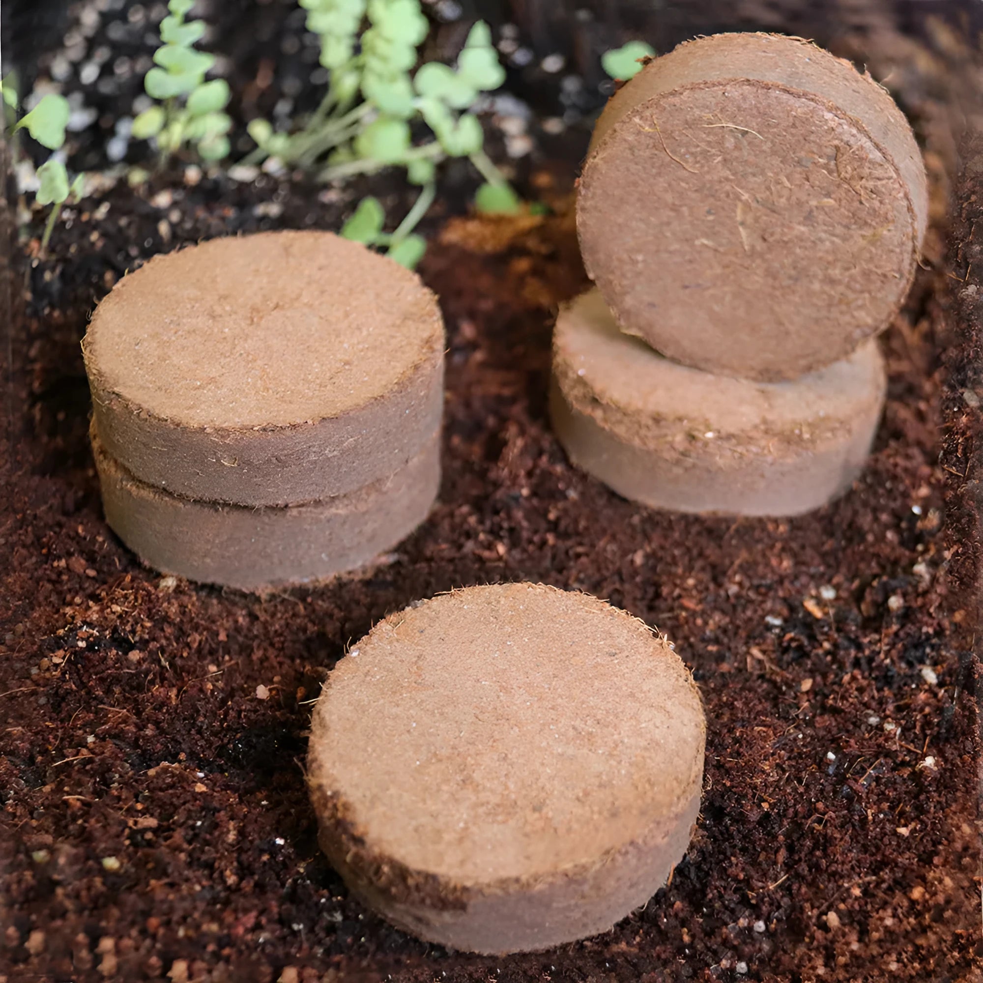 Nutrient soil medium blocks for vegetable planting with eight size specifications and 500% water absorption