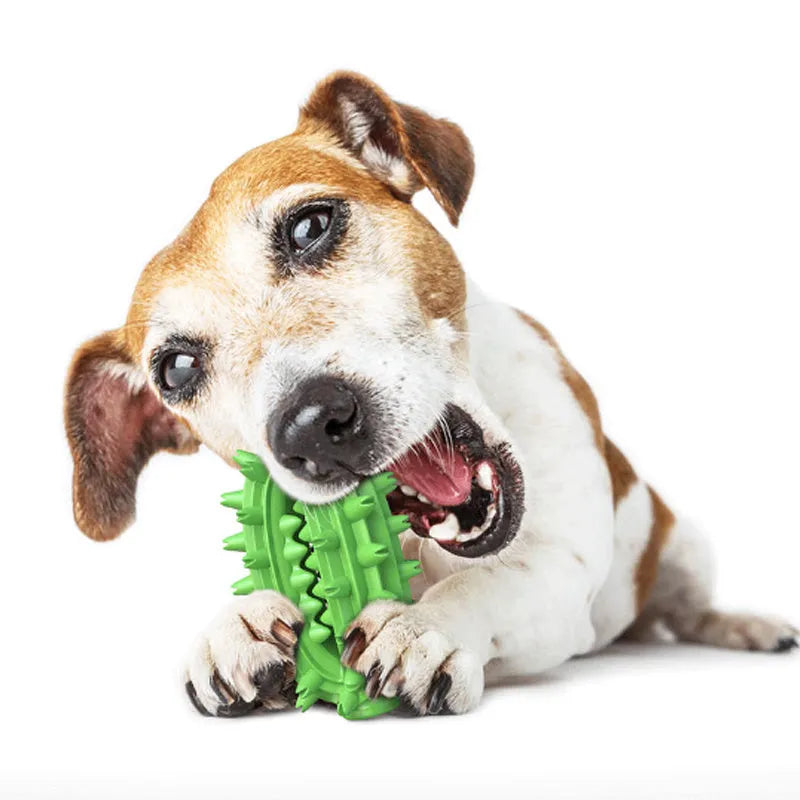 Green cactus-shaped dog dental chew toy with textured bumps for teeth cleaning