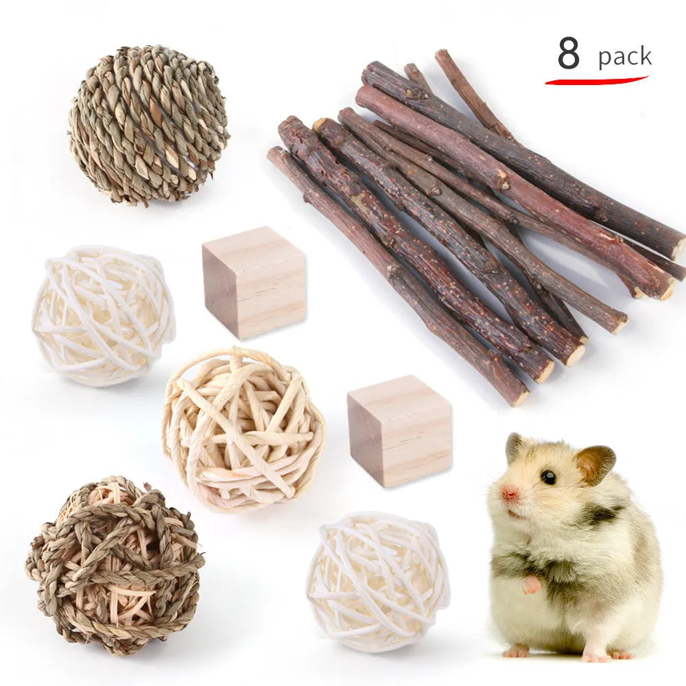 Assorted wooden chew toys for small pets including balls and mats on a natural background