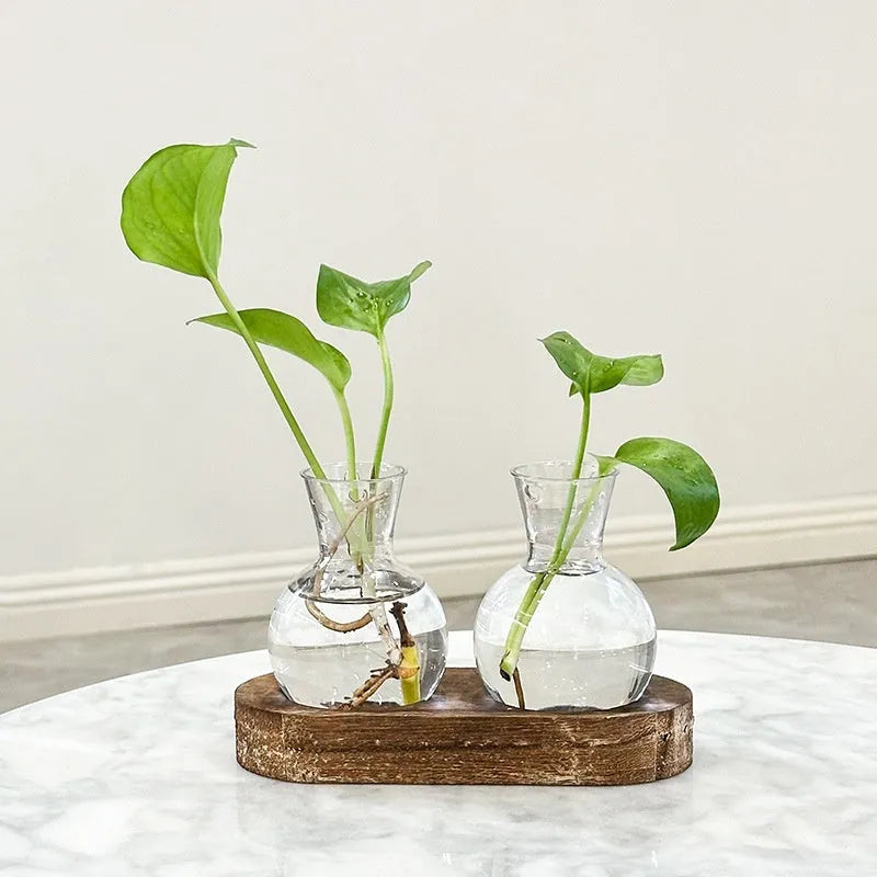Transparent hydroponic glass vase with wooden frame in wood colour and retro colour options